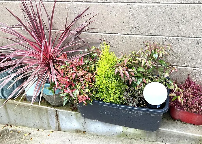 Дом отдыха 4 Bed House Sleeps 7 - Parking Garden Wifi *